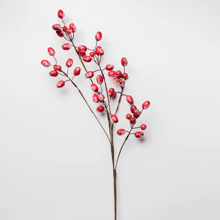 Ветвь ягодная ШИПОВНИК H76 см, заснеженная, пластик, красный