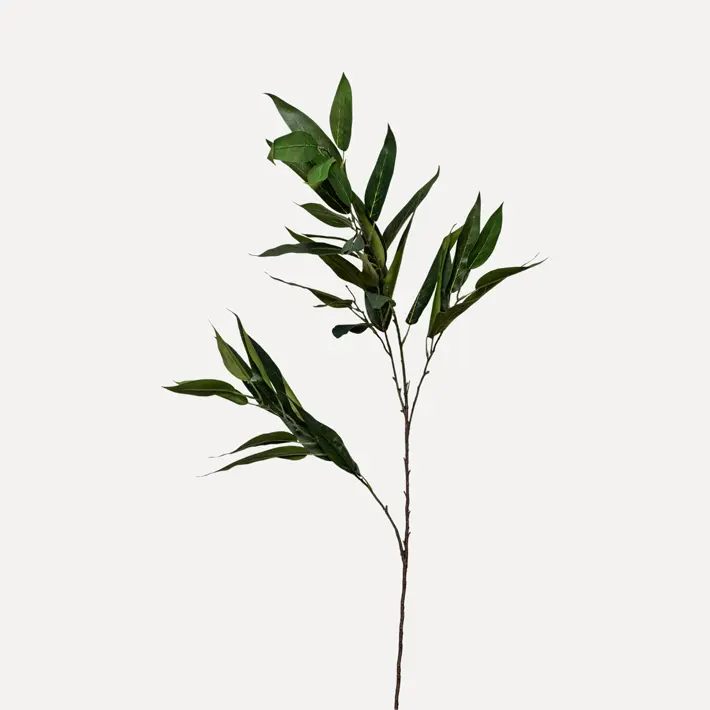 Ветвь ЭВКАЛИПТ H114 см, пластик, зеленый