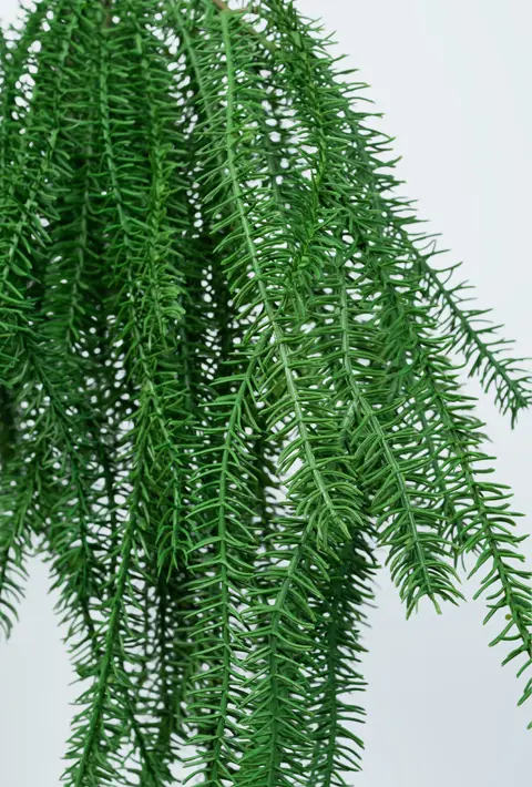 Ветвь сосновая H150 см, пластик, зеленый