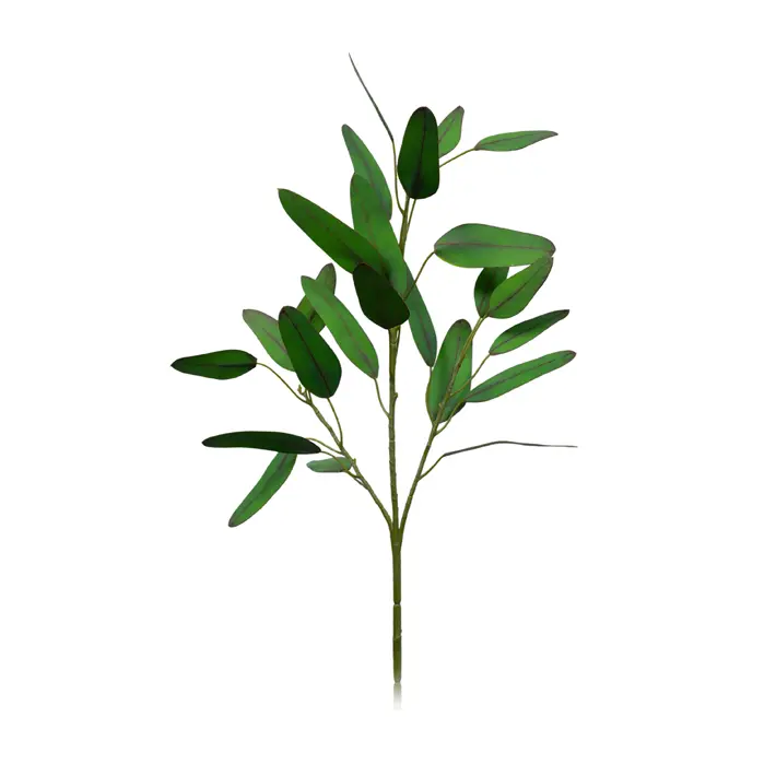 Ветвь эвквалипта H64 см, пластик, зеленый