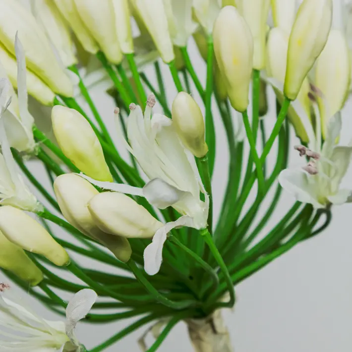 Ветвь агапантуса H80 см, пластик, белый
