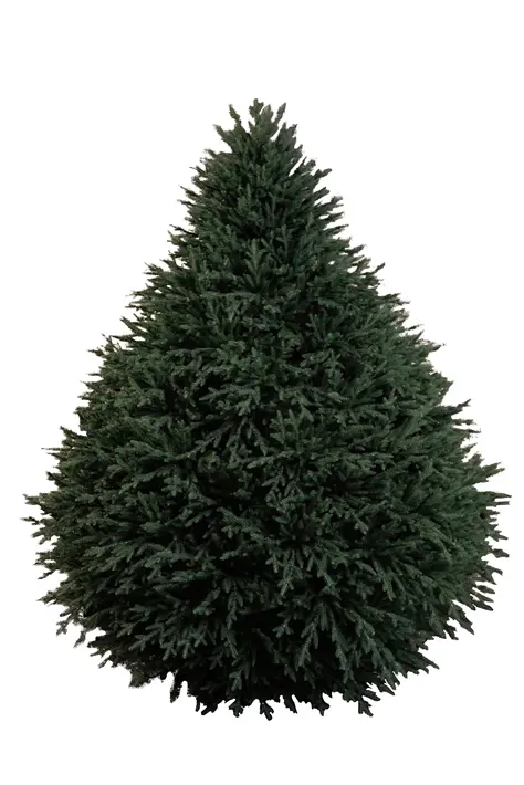 Ель искусственная ШУ H240 см, пластик, металл, зеленый