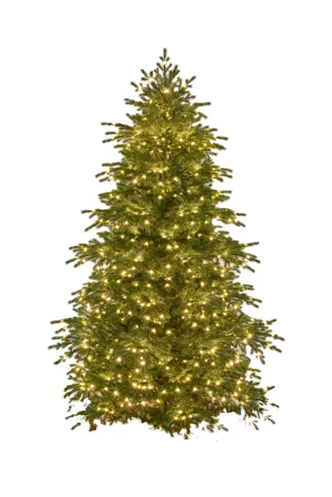 Ель искусственная с лампочками МУРМАНСКАЯ H255 см, пластик, металл, зеленый