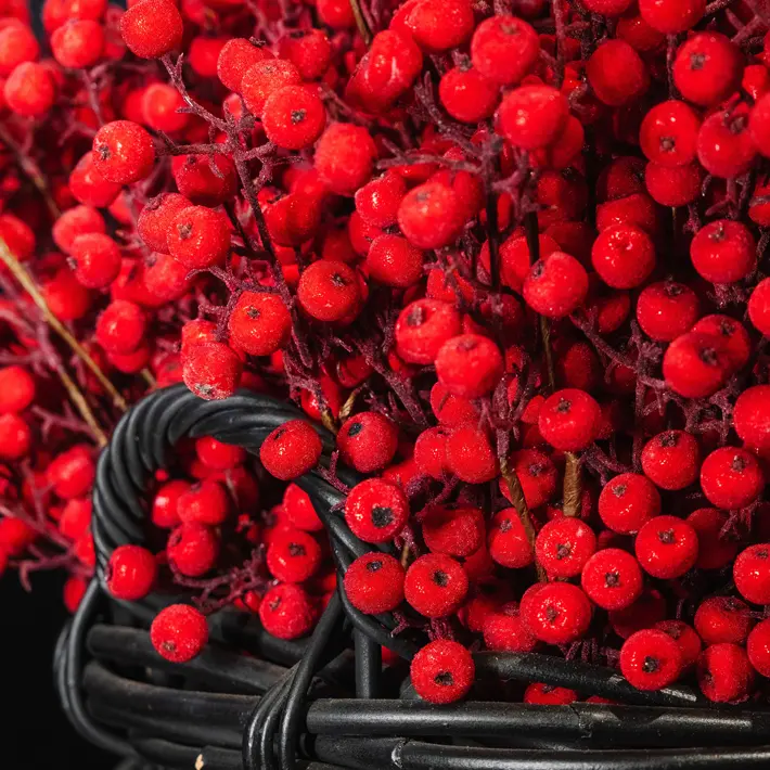 Ветвь ягодная ЯБЛОКО H73 см, пластик, красный