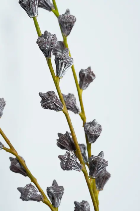 Ветвь эвкалипта H61 см, пластик, коричневый