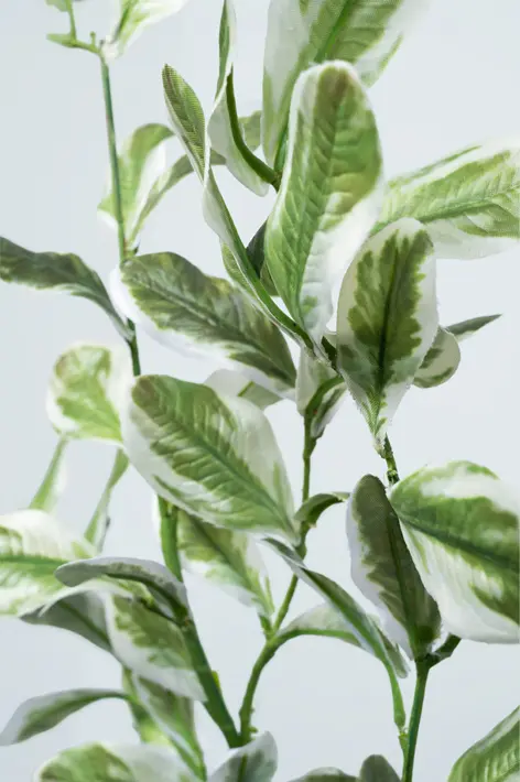 Ветвь питоспорума H89 см, пластик, зеленый