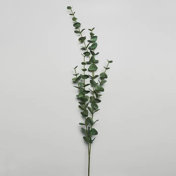 Ветвь эвкалипта H110 см, пластик, зеленый