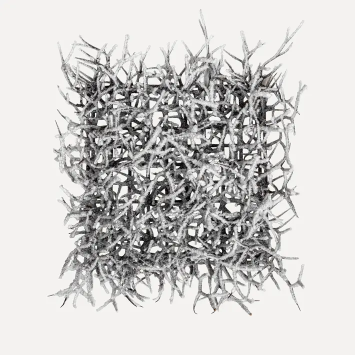 Панно из веток 25х25 см, заснеженное, пластик, тёмно-коричневый