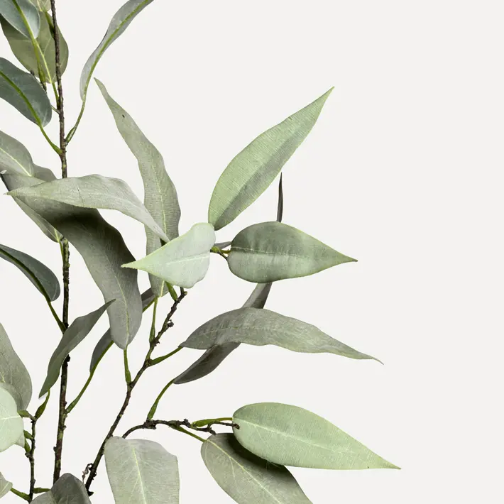 Ветвь ЭВКАЛИПТ H114 см, пластик, зеленый