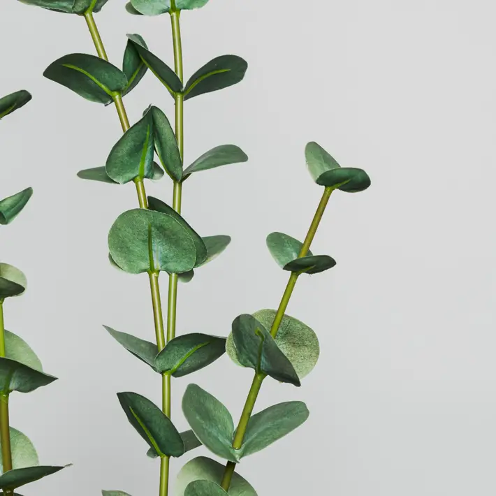 Ветвь эвкалипта H110 см, пластик, зеленый