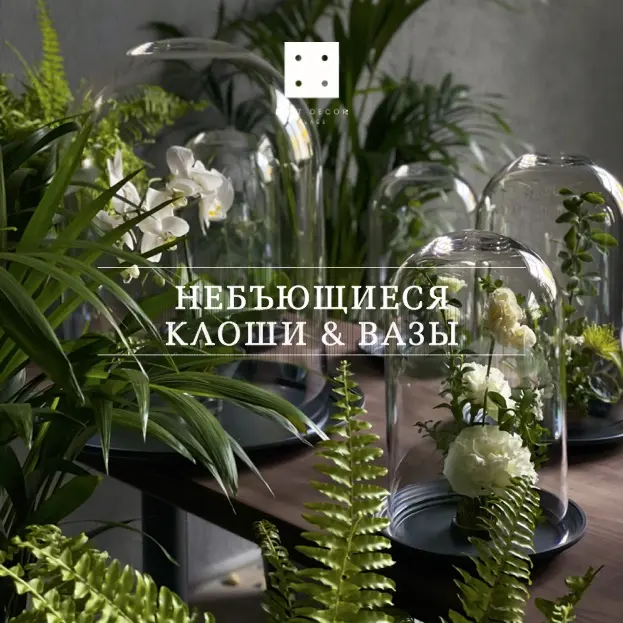 ВАЗЫ И КЛОШИ ВАЗЫ И КЛОШИ