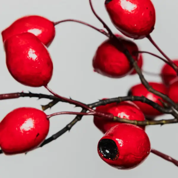 Ветвь ягодная ШИПОВНИК H81 см, пластик, красный