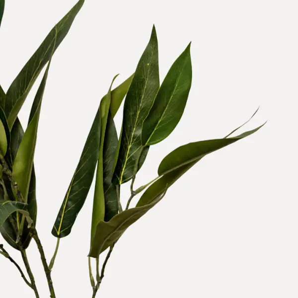 Ветвь ЭВКАЛИПТ H114 см, пластик, зеленый