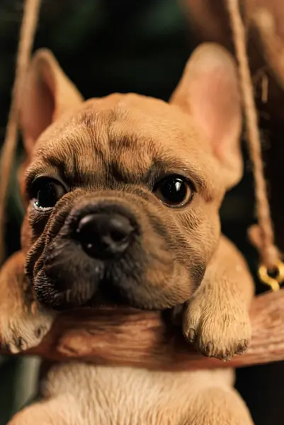 Подвес БУЛЬДОГ 10х15 см, полирезин, бежевый