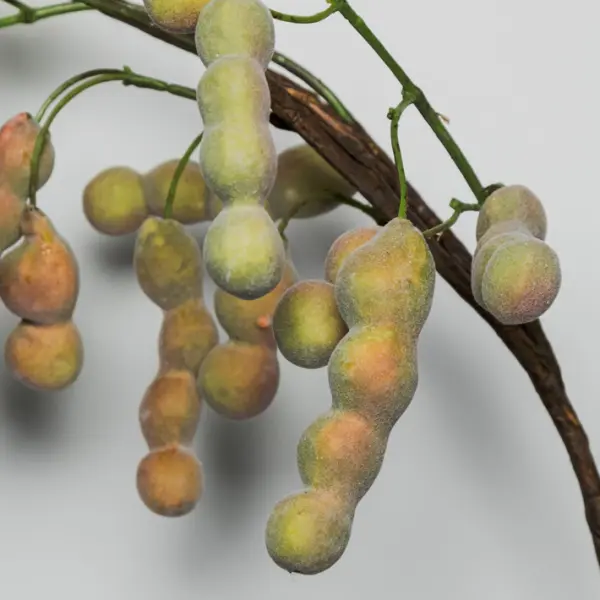 Ветвь с бобами H114 см, пластик, зеленый