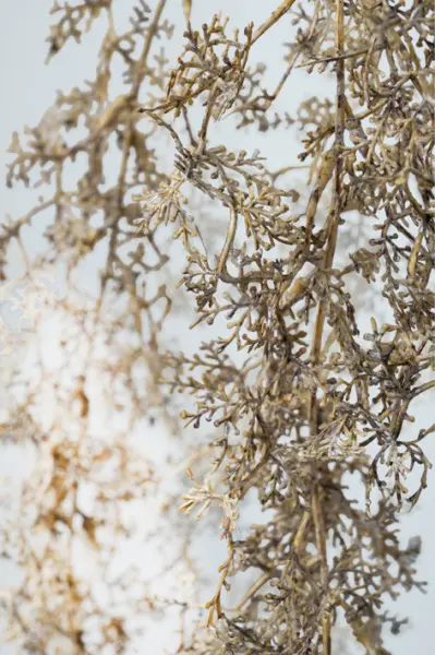 Ветвь лиственницы L94 см, пластик, серый