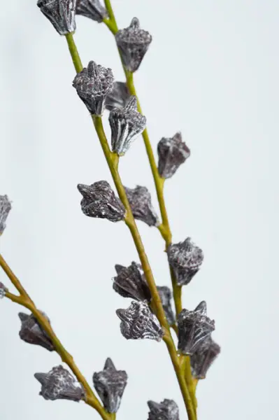 Ветвь эвкалипта H61 см, пластик, коричневый