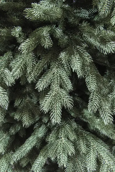 Ель искусственная ЮТА Н240 см, пластик, металл, серо-зелёный