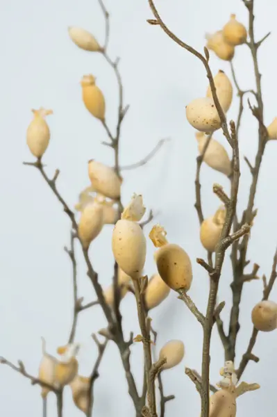 Ветвь ягодная H112 см, пластик, коричневый, белый