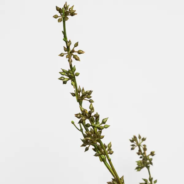 Ветвь с ягодами H106 см, пластик, зеленый