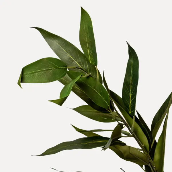 Ветвь ЭВКАЛИПТ H114 см, пластик, зеленый