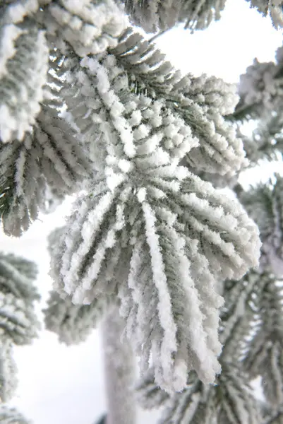 Ель искусственная заснеженная КОРОЛЕВА ТЯНЬ ШАНЯ Н255 см, пластик, металл, белый