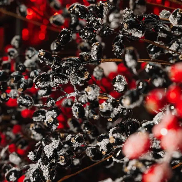 Ветвь ягодная ШИПОВНИК H76 см, заснеженная, пластик, черный