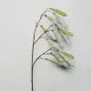 Ветвь с бобами H107 см, пластик, зеленый