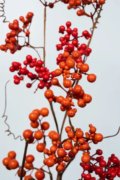 Ветвь ягодная H91 см, пластик, красный