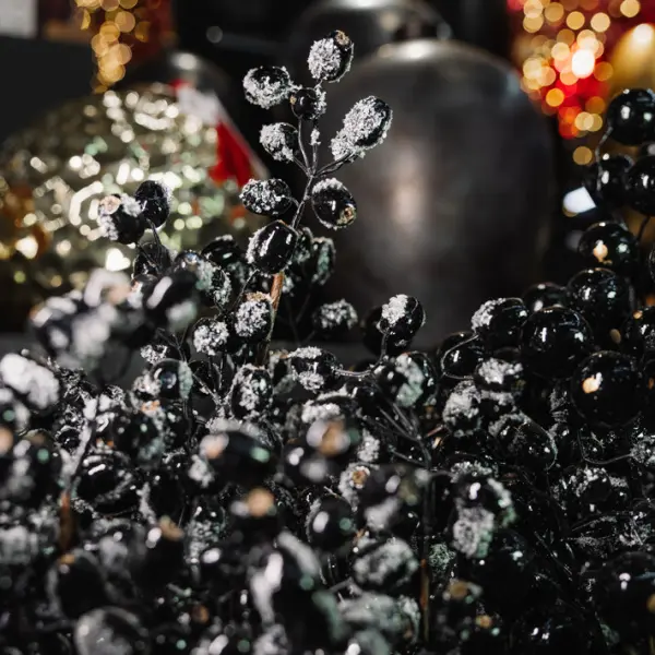 Ветвь ягодная ШИПОВНИК H76 см, заснеженная, пластик, черный