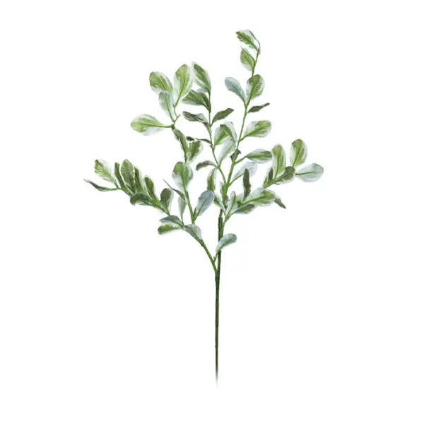 Ветвь питоспорума H89 см, пластик, зеленый