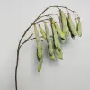 Ветвь с бобами H125 см, пластик, зеленый