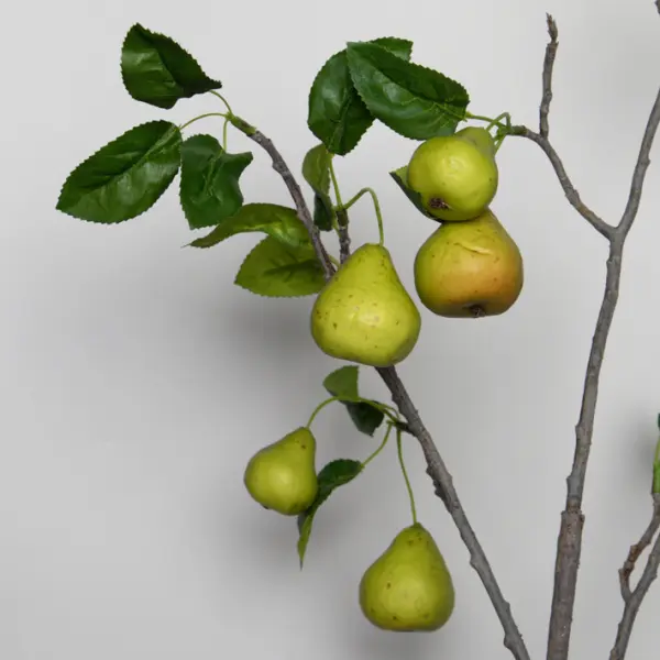 Ветвь груши H74 см, пластик, зеленый