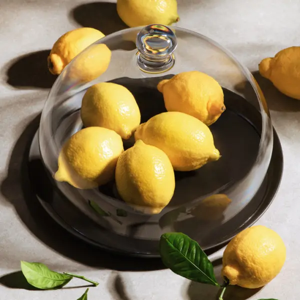 Клош c подставкой 23x18 см, поликарбонат, прозрачный