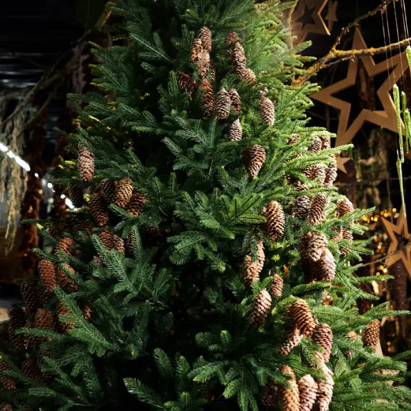 Ель искусственная премиум КАРПАТСКАЯ Н240 см, пластик, металл, зелёный