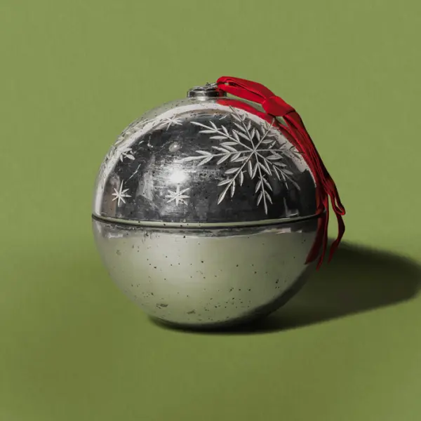 CNDL3-SILVER20-TAIGA(1)