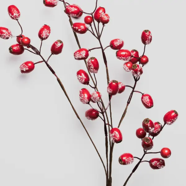 Ветвь ягодная ШИПОВНИК H76 см, заснеженная, пластик, красный