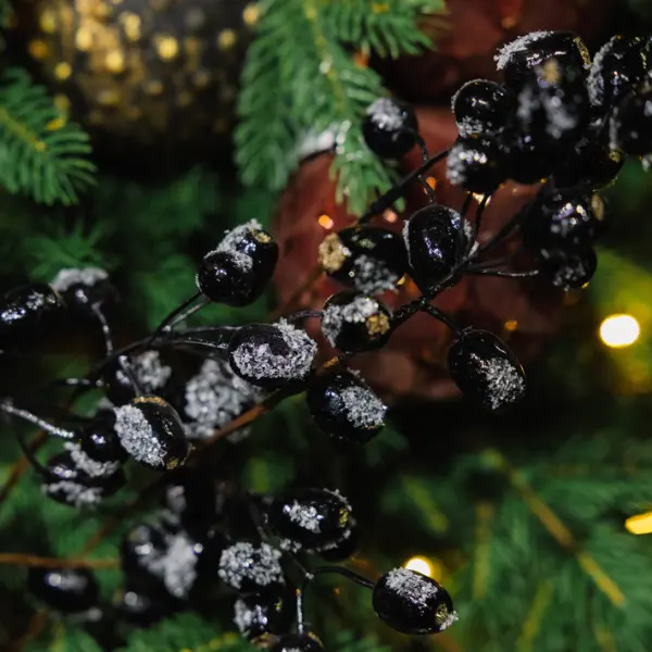 Ветвь ягодная ШИПОВНИК H76 см, заснеженная, пластик, черный