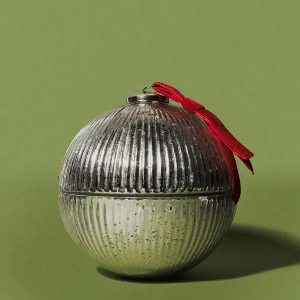 CNDL2-SILVER20-TAIGA(1)