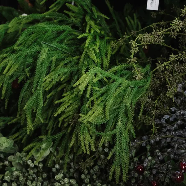 Ветвь КИПАРИСОВИК L160 см, пластик, зеленый