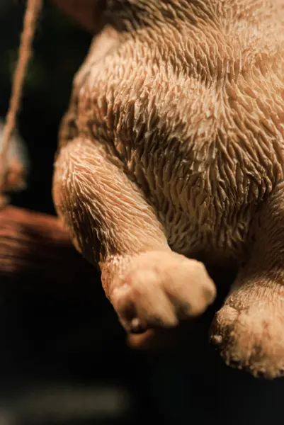 Подвес ЛАБРАДОР 12х15 см, полирезин, бежевый