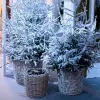 Комплект из 4-х плетёных корзин 69х59х48, 59х50х43, 49х41х37, 41х34х32 см, ива, бежевый
