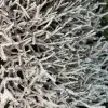 Панно из веток 25х25 см, заснеженное, пластик, тёмно-коричневый