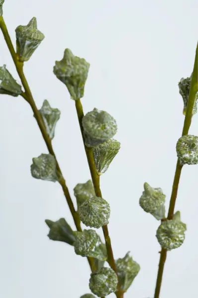 Ветвь эвкалипта H61 см, пластик, зеленый