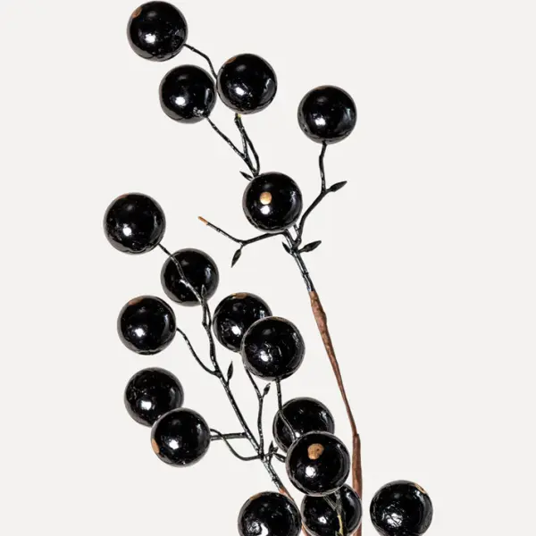 Ветвь ягодная H81 см, пластик, черный