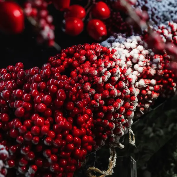 Шар из ягод D24 см, пенопласт, красный