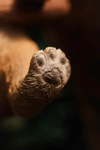 Подвес ШИБА ИНУ 12х14 см, полирезин, бежевый