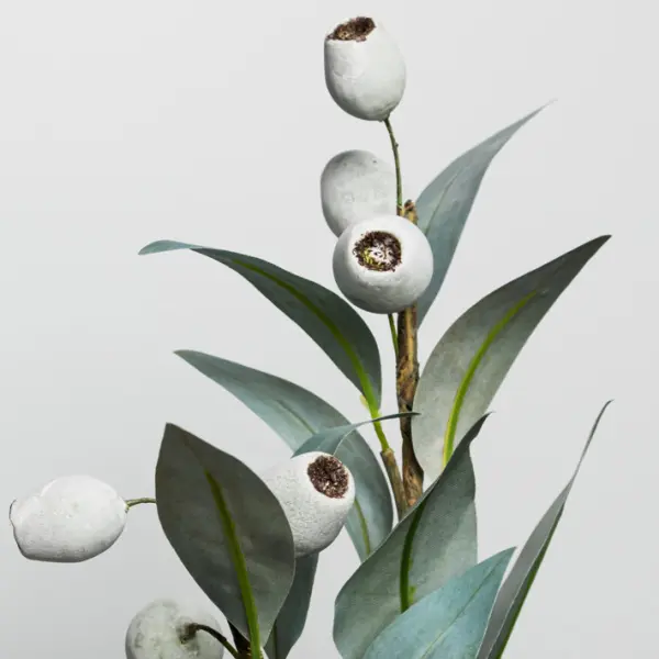 Ветвь эвкалипта с ягодами H65 см, пластик, зеленый