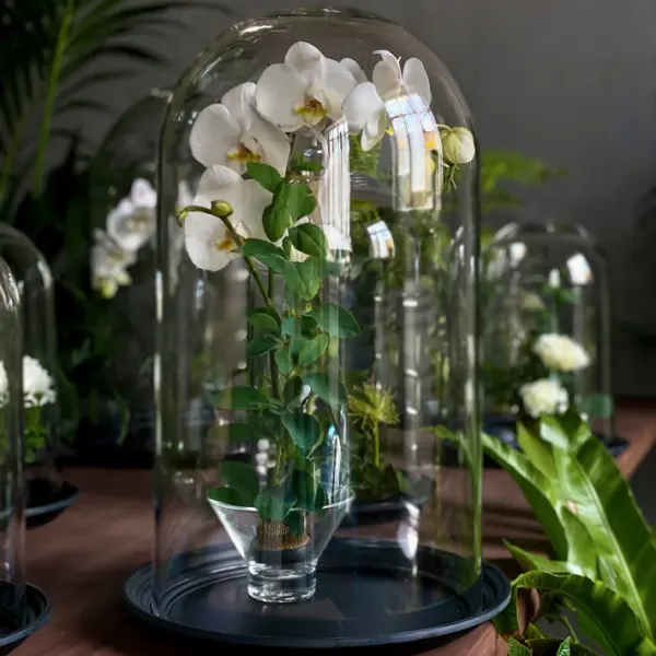 Клош c подставкой 45x71 см, поликарбонат, прозрачный