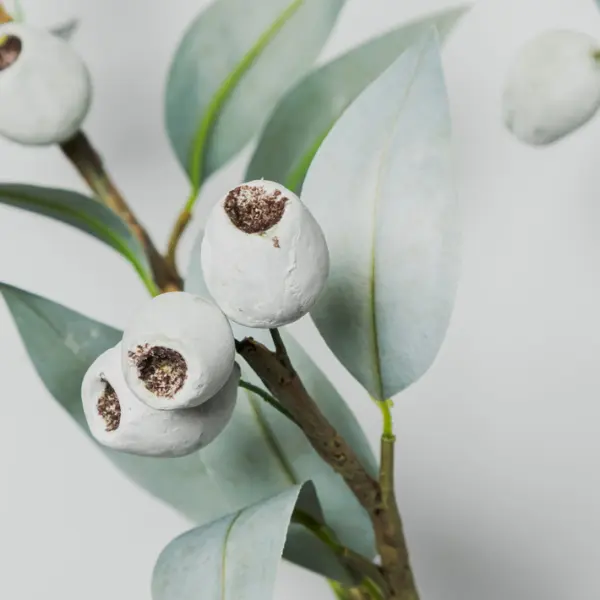 Ветвь эвкалипта с ягодами H93 см, пластик, зеленый